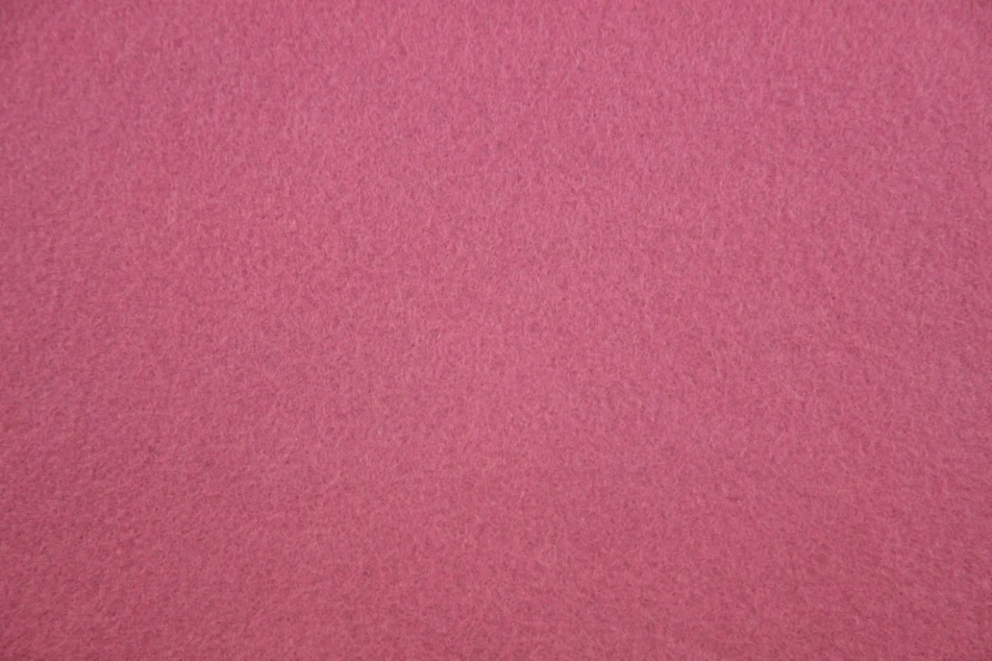 wolvilt Engels roze-Rose Anglais-017.